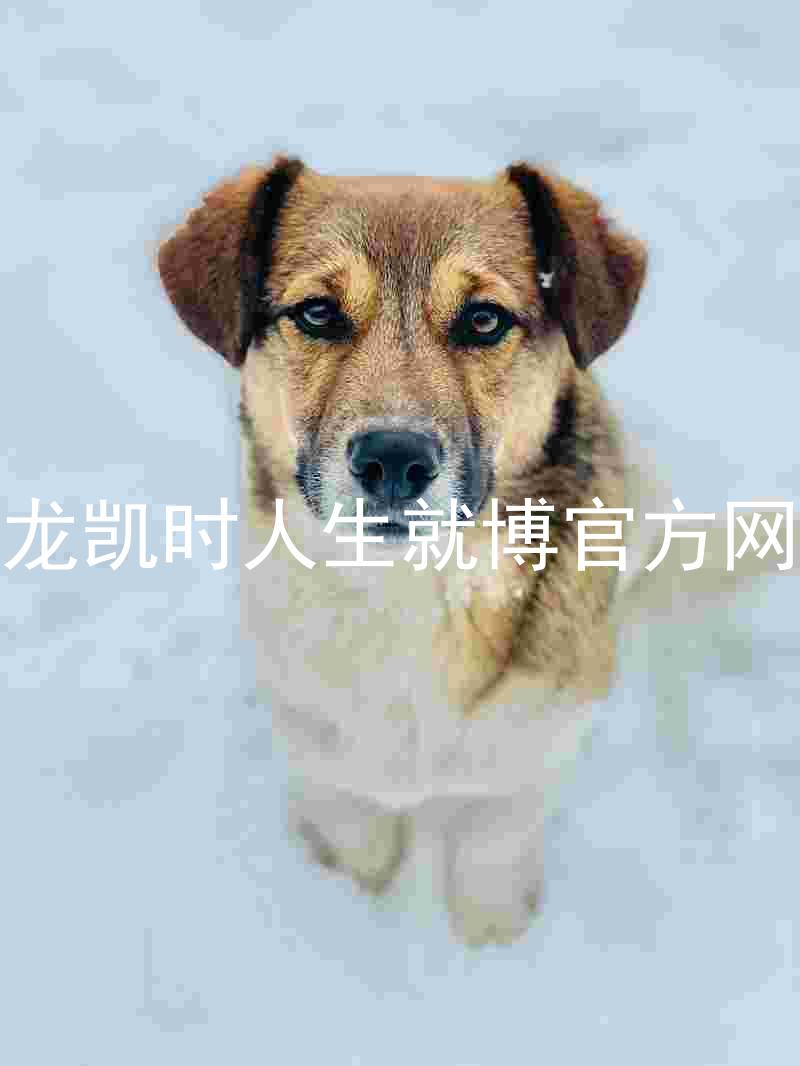 尊龙凯时人生就博官方网站