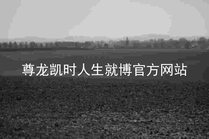 尊龙凯时人生就博官方网站